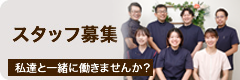 スタッフ募集
